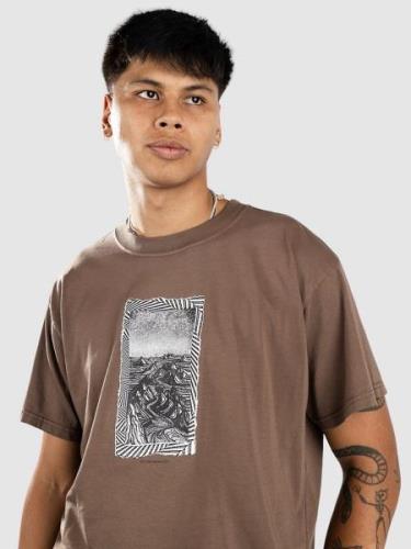 Volcom TT B Iguchi Valley T-shirt brun