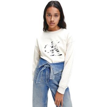 Sweatshirts Calvin Klein Jeans  J20J214815