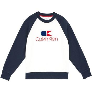 Sweatshirts Calvin Klein Jeans  K10K103940