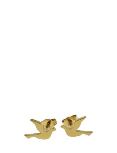 Dove Studs Accessories Jewellery Earrings Studs Gold Edblad