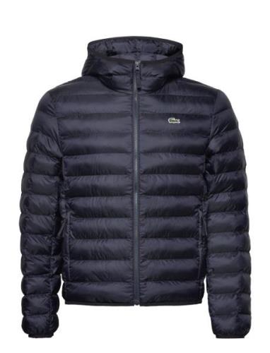 Parkas & Blousons Foret Jakke Navy Lacoste