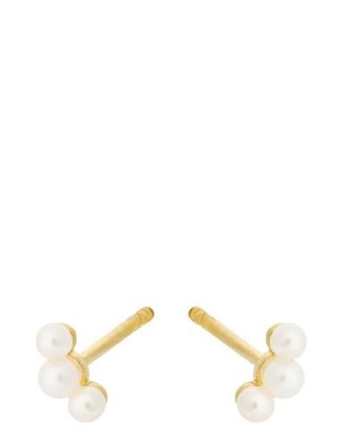 Ocean Pearl Earsticks Accessories Jewellery Earrings Studs Multi/patte...