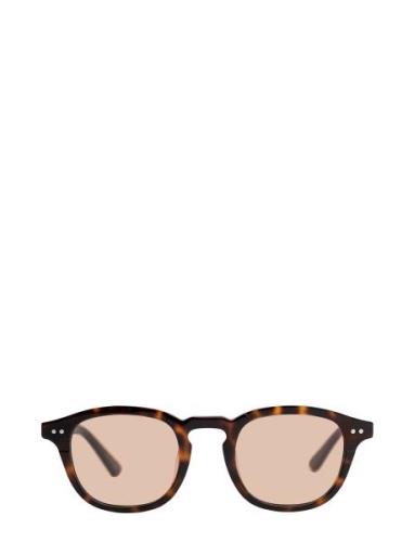 Todd Solbriller Brown Corlin Eyewear