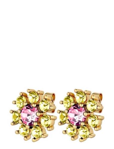 Aude Sg Yellow/Rose Accessories Jewellery Earrings Studs Pink Dyrberg/...