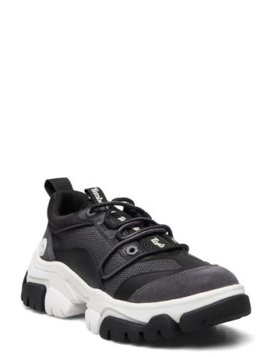 Adley Way Oxford Low-top Sneakers Black Timberland