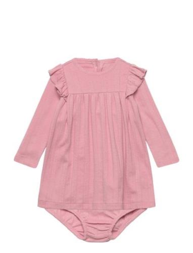 Ruffled Pointelle Cotton Dress & Bloomer Dresses & Skirts Dresses Baby...