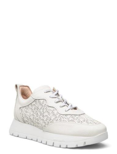 Cairo Low-top Sneakers White Wonders