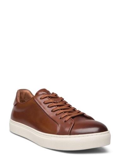 111 Low-top Sneakers Brown TGA By Ahler