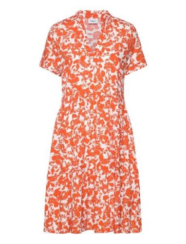 Edasz Ss Dress Knælang Kjole Orange Saint Tropez