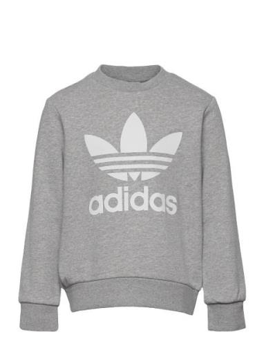 Trefoil Crew Tops Sweatshirts & Hoodies Sweatshirts Grey Adidas Origin...