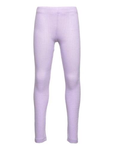 Lpmolly Hw Leggings Tw Bottoms Leggings Purple Little Pieces