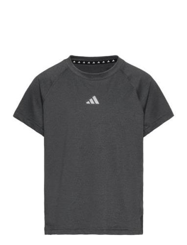 Jg Tee Lux Sport T-Kortærmet Skjorte Grey Adidas Sportswear