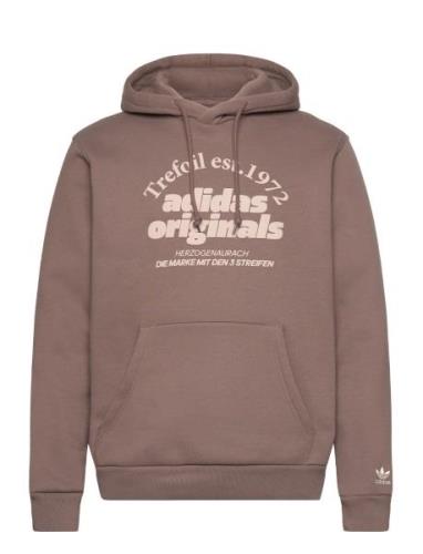 Grf Hoodie Sport Sweatshirts & Hoodies Hoodies Brown Adidas Originals