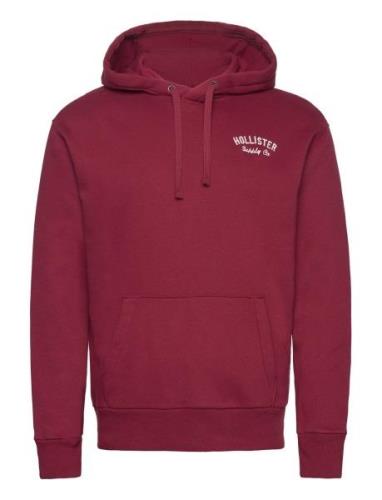 Hco. Guys Sweatshirts Tops Sweatshirts & Hoodies Hoodies Burgundy Holl...