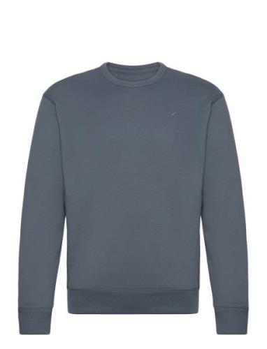 Hco. Guys Sweatshirts Tops Sweatshirts & Hoodies Sweatshirts Blue Holl...