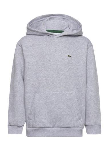 Sweatshirts Sport Sweatshirts & Hoodies Hoodies Grey Lacoste