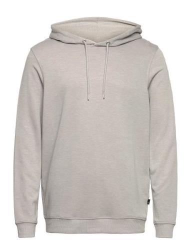 Jbs Of Dk Logo Hoodie Fsc Tops Sweatshirts & Hoodies Hoodies Grey JBS ...