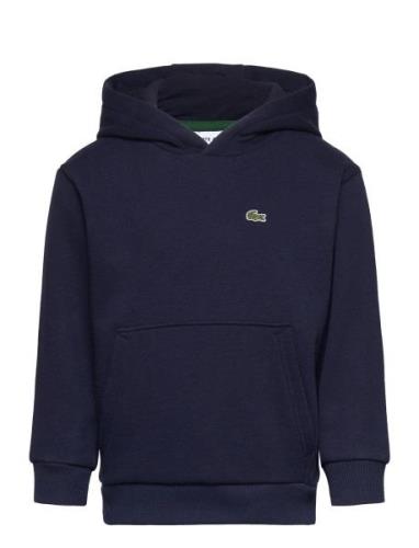 Sweatshirts Sport Sweatshirts & Hoodies Hoodies Navy Lacoste