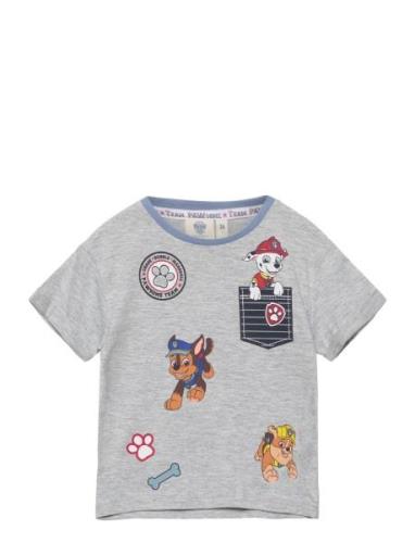 Short-Sleeved T-Shirt Tops T-Kortærmet Skjorte Grey Paw Patrol