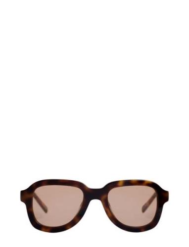 Pascal Tortoise Cinnamon Accessories Sunglasses D-frame- Wayfarer Sung...