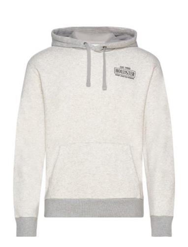 Hco. Guys Sweatshirts Tops Sweatshirts & Hoodies Hoodies Grey Holliste...