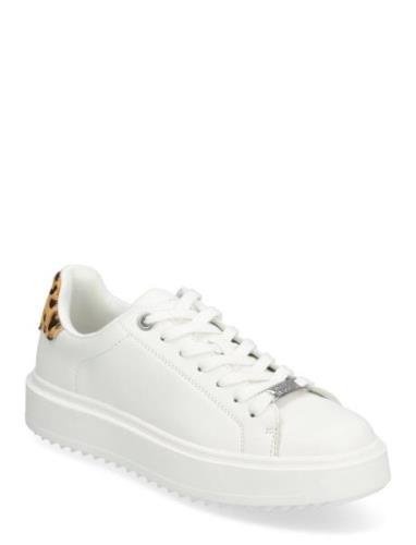 Catcher Sneaker Low-top Sneakers White Steve Madden