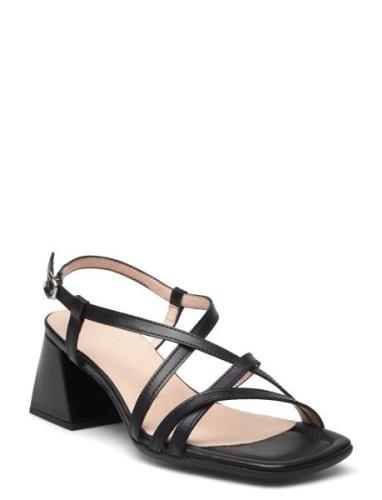 Sofia Sandal Med Hæl Black Wonders