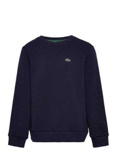 Sweatshirts Sport Sweatshirts & Hoodies Sweatshirts Navy Lacoste