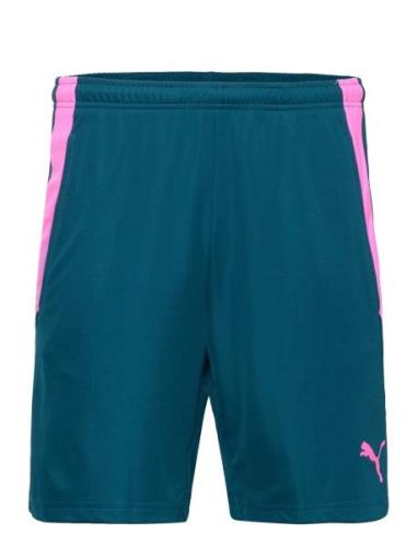 Teamliga Training Shorts 2  Sport Shorts Sport Shorts Blue PUMA