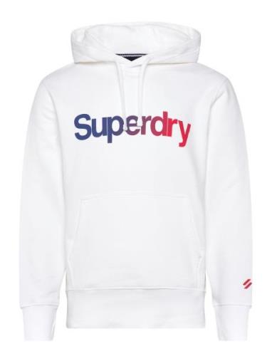 Core Logo Loose Hood Tops Sweatshirts & Hoodies Hoodies White Superdry