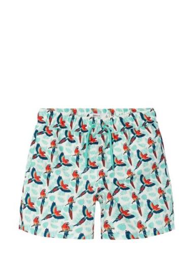 Nkmzaddi Swim Shorts Box Bottoms Shorts Blue Name It