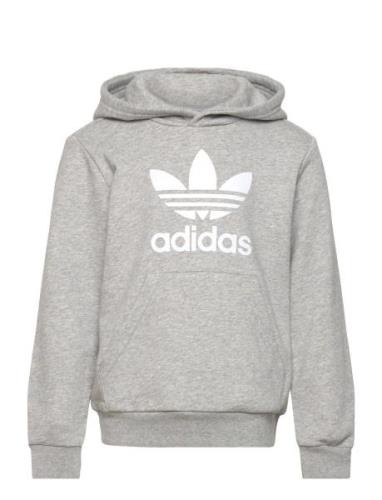 Trefoil Hoodie Tops Sweatshirts & Hoodies Hoodies Grey Adidas Original...