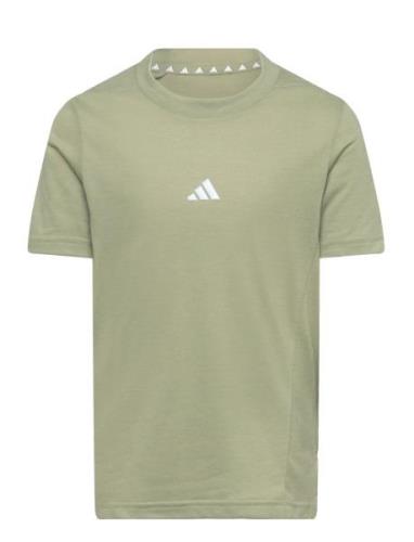 J D4T Tee Tops T-Kortærmet Skjorte Khaki Green Adidas Sportswear