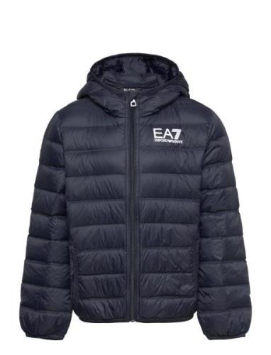 Down Jacket Foret Jakke Navy EA7