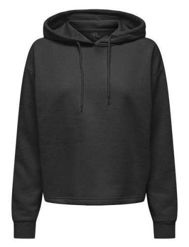 Onpcomfort Ls Brush Hood Swt Tops Sweatshirts & Hoodies Hoodies Black ...