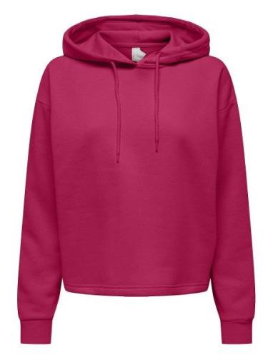 Onpcomfort Ls Brush Hood Swt Tops Sweatshirts & Hoodies Hoodies Pink O...