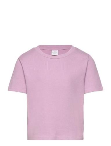 Top Rosie Basic Tops T-Kortærmet Skjorte Purple Lindex