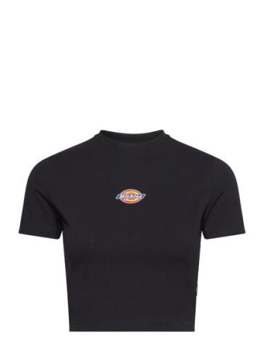 Maple Valley Tee Tops Crop Tops Short-sleeved Crop Tops Black Dickies