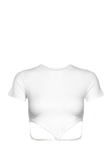 Hco. Girls Knits Tops Crop Tops Short-sleeved Crop Tops White Holliste...