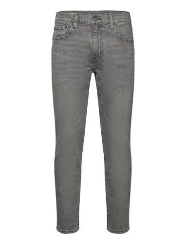 502 Taper Whatever You Like Bottoms Jeans Tapered Grey LEVI´S Men