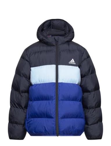 Lk Sd Jkt Outerwear Jackets & Coats Winter Jackets Blue Adidas Sportsw...