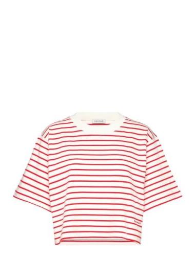 Cropped Tee Tops Crop Tops Short-sleeved Crop Tops Red House Of Dagmar