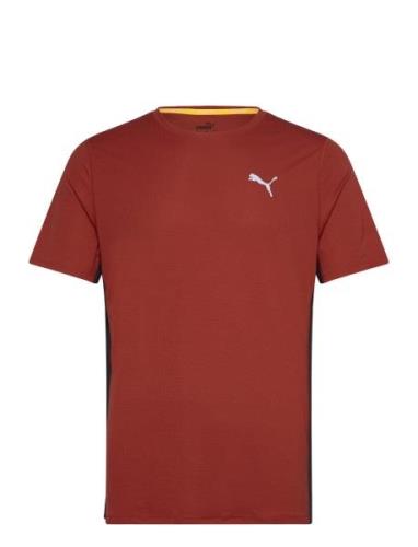 Run Favorite Velocity Tee Sport T-Kortærmet Skjorte Burgundy PUMA