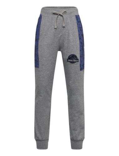 Pants Bottoms Sweatpants Grey Jurassic World