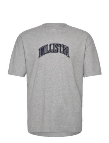 Hco. Guys Graphics Tops T-Kortærmet Skjorte Grey Hollister