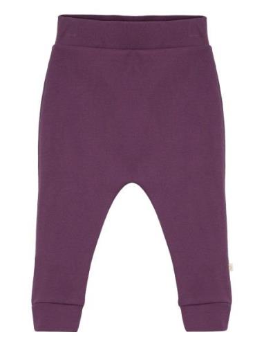 Pants Bottoms Trousers Purple Smallstuff