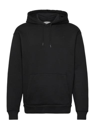 Hco. Guys Sweatshirts Tops Sweatshirts & Hoodies Hoodies Black Hollist...