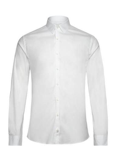 Filbrodie Designers Shirts Business White Tiger Of Sweden