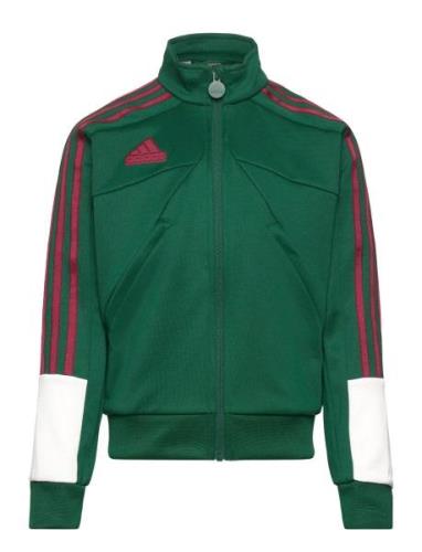 J Np Ttop Sport Sweatshirts & Hoodies Sweatshirts Green Adidas Sportsw...