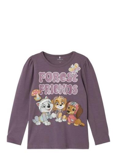 Nmfsusanne Pawpatrol Ls Top Box Cplg Tops T-shirts Long-sleeved T-Skjo...